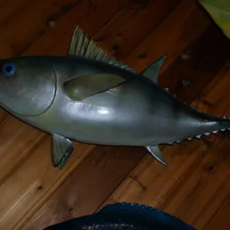 Big-eye Tuna