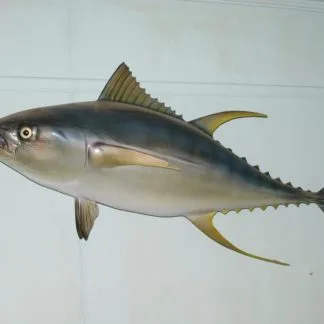 Yellowfin Tuna
