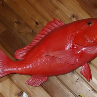 Vermillion Snapper